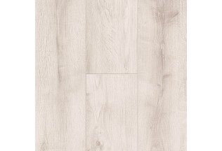 Дуб Lipica 60908